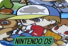 Nintendo DS